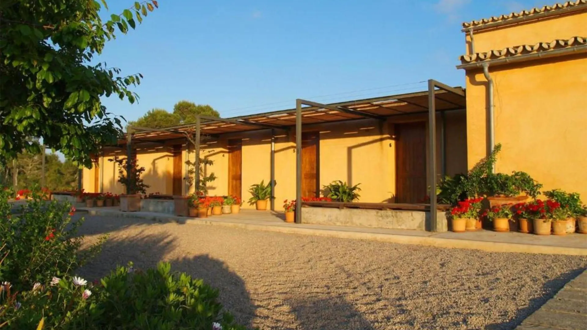 Lantgård Agroturismo Ses Arenes Campos