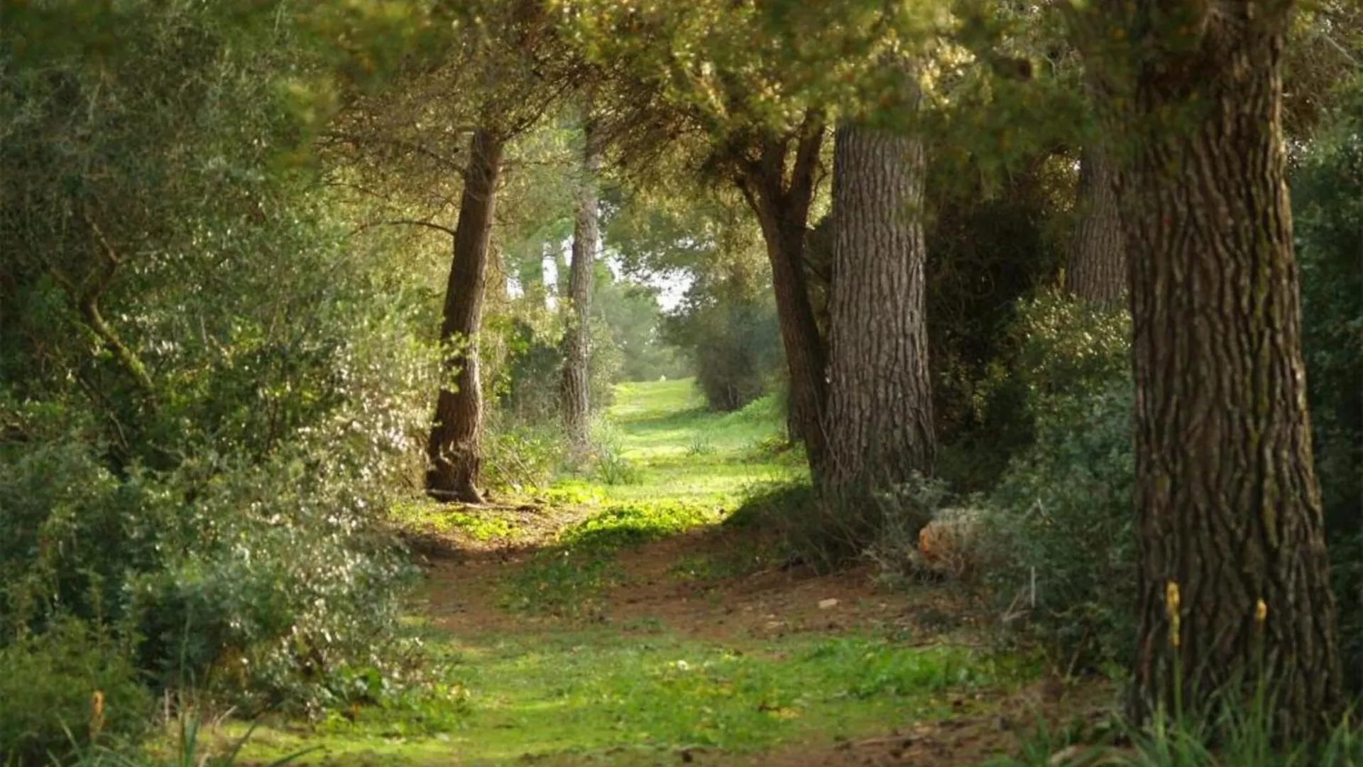 Agroturismo Ses Arenes Campos  0*, Campos (Mallorca) Spanien